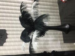SİYAH FİL AYAĞI 40 CM CAM